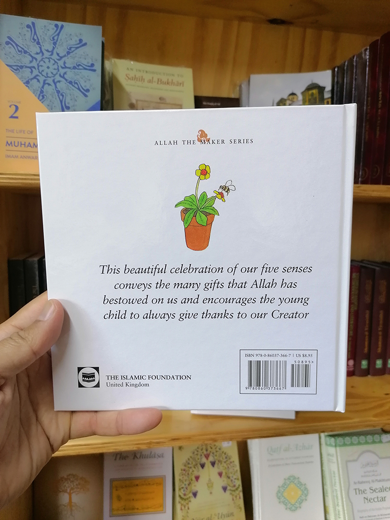 Allah Gave Me Two Hands and Feet - Raana Bokhari - Image 2